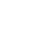 Vector
