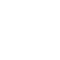 Vector