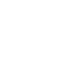 Vector
